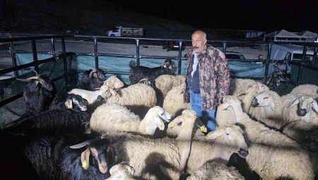 Elazığ’da Kurban Pazarı Hareketliliği